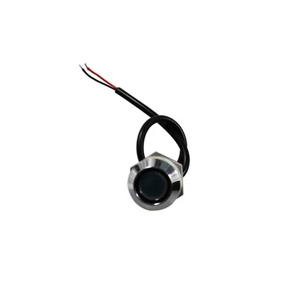 IButton Probe